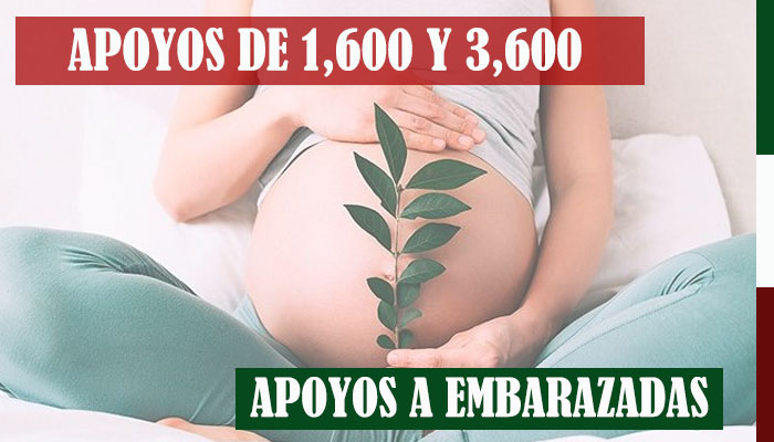 Subsidio para Mujeres Embarazadas 2023